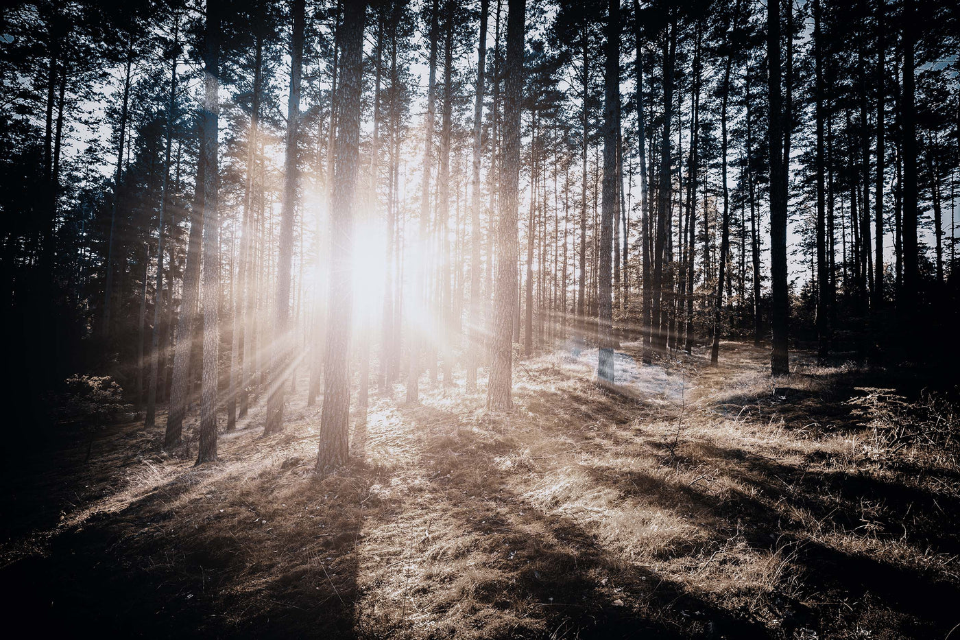 Spirituality - The Fundamentals