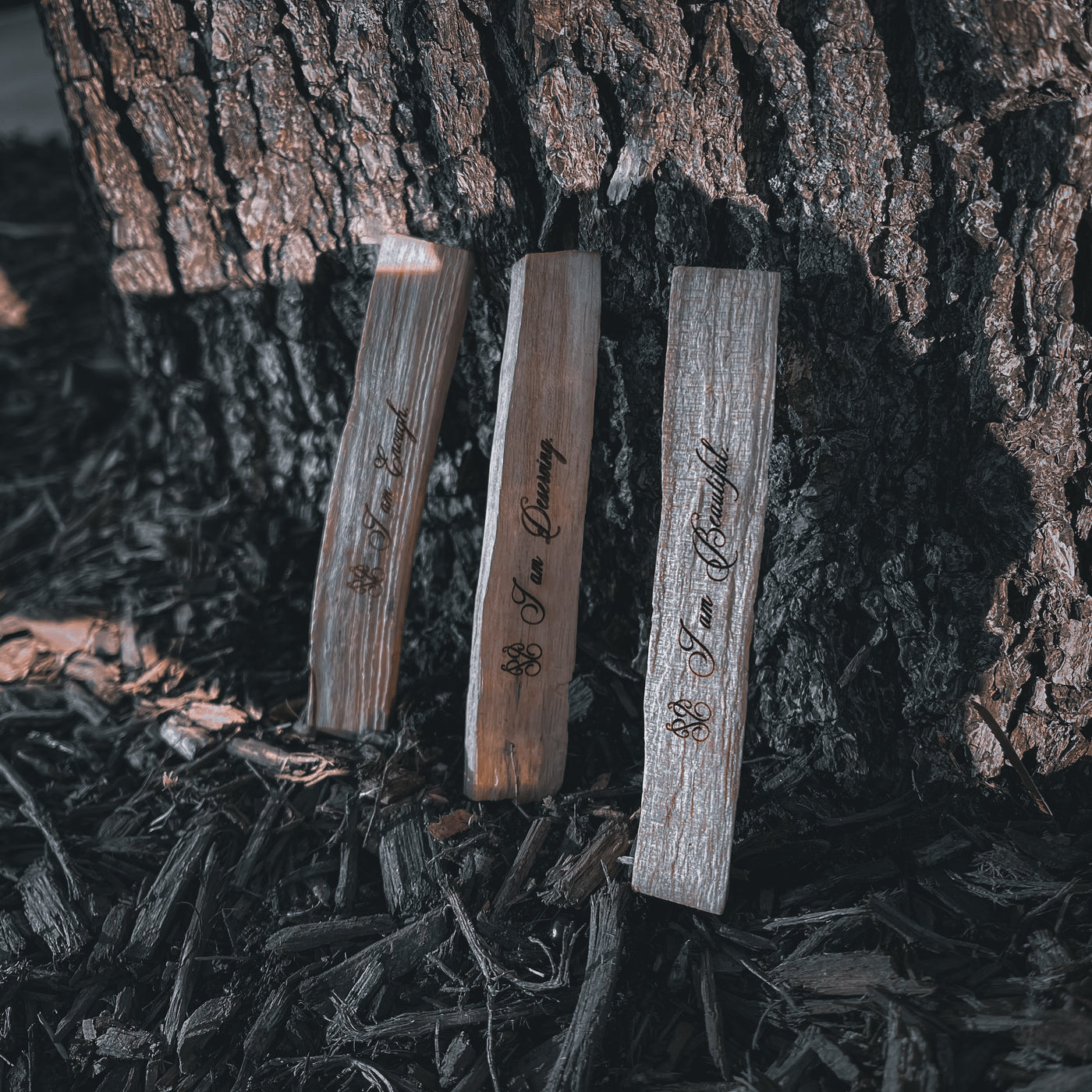What Is Palo Santo? Benefits and Use of Palo Santo