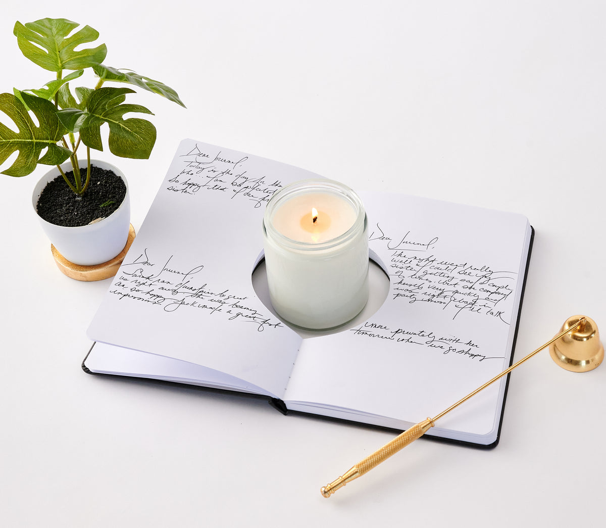 Manifestation Journal | Petite Petitions
